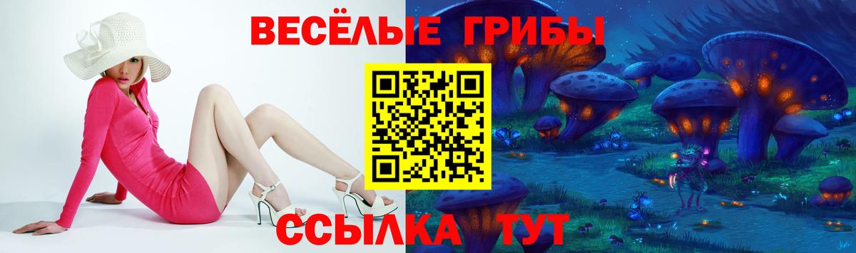 Галлюциногенные грибы Magic Shrooms Гуково